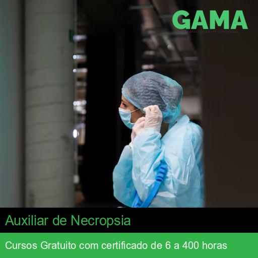 Auxiliar de Necropsia